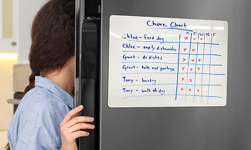 Dry Erase Magnets